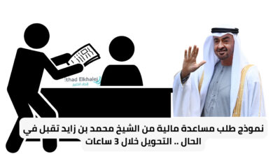 التحويل خلال ساعات .. نموذج طلب مساعدة مالية من الشيخ محمد بن زايد يقبل في الحال