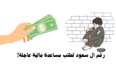 رقم ال سعود للمساعدات المالية .. أحصل على 300,000 ريال سعودي من أميرات العائلة