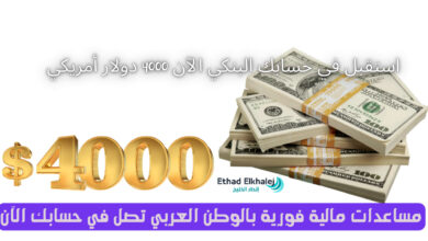 مساعدات مالية فورية بالوطن العربي .. استقبل في حسابك البنكي 4000$ دولار أمريكي الآن